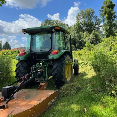 Land Clearing